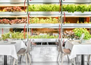 Studio Aisslinger completa la renovación «amorosa de la naturaleza» del Hotel Seegarten