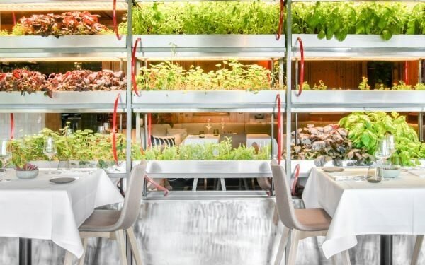 Studio Aisslinger completa la renovación «amorosa de la naturaleza» del Hotel Seegarten