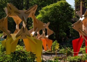 SunRice explora nuevos usos para el «alimento más consumido» del mundo