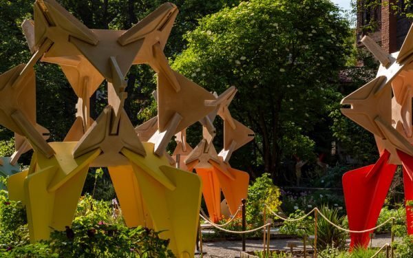 SunRice explora nuevos usos para el «alimento más consumido» del mundo