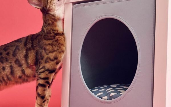 Esta semana IKEA lanzó su primera gama para mascotas Utsådd