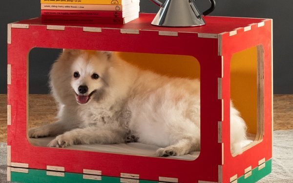 Muebles para mascotas multifuncionales diseñados para animales en apartamentos pequeños