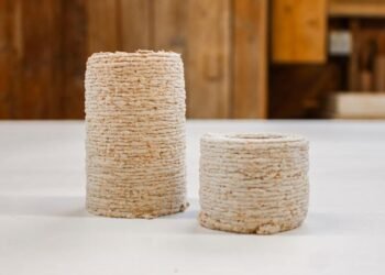 El equipo de diseño crea un compuesto de impresión 3D a partir de caparazones de langosta