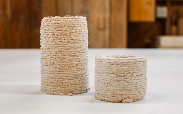 El equipo de diseño crea un compuesto de impresión 3D a partir de caparazones de langosta