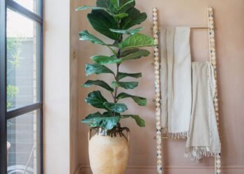 Todo lo que necesitas saber sobre cómo pintar sobre yeso nuevo