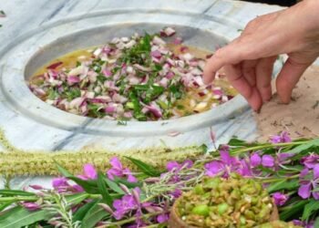 Transspecies Kitchen de Andrés Jaque promueve la cocina sin carbono