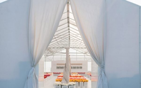 CJ Hendry traslada la instalación de «100.000 flores de peluche» durante la noche