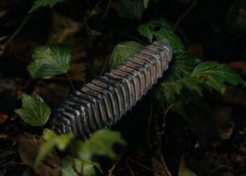 El dispositivo de detección de incendios forestales Pyri se derrite en respuesta al fuego