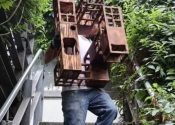 Pajareras informadas por características arquitectónicas en la exposición Viviendas