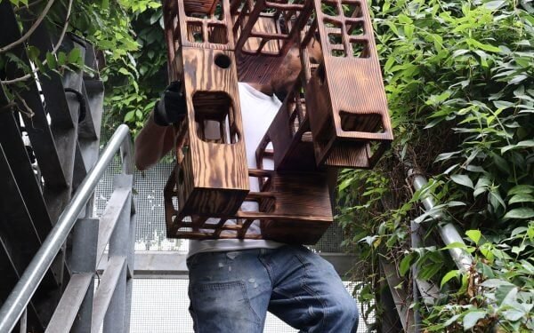 Pajareras informadas por características arquitectónicas en la exposición Viviendas