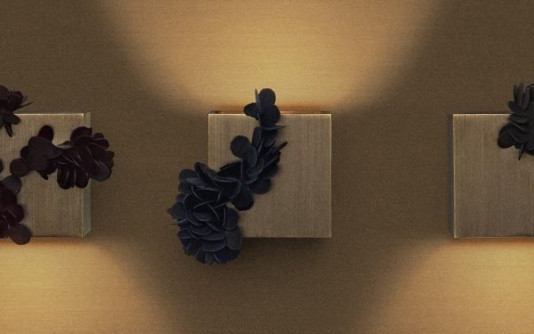 Aplique de pared Barnacle de Articolo