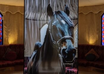 La IA generativa y la arquitectura tradicional se encuentran en la instalación de Deepsee