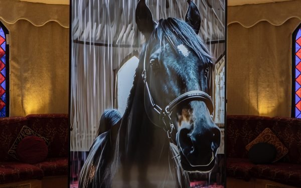 La IA generativa y la arquitectura tradicional se encuentran en la instalación de Deepsee