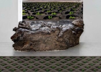 La Geria Lanzarote rug by Jose A Gandía-Blasco Canales for Gan