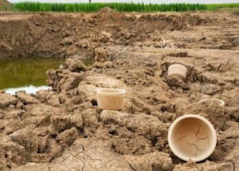 Arcilla del Maas procedente de la ampliación del río utilizada para la cerámica y los ladrillos de Atelier NL