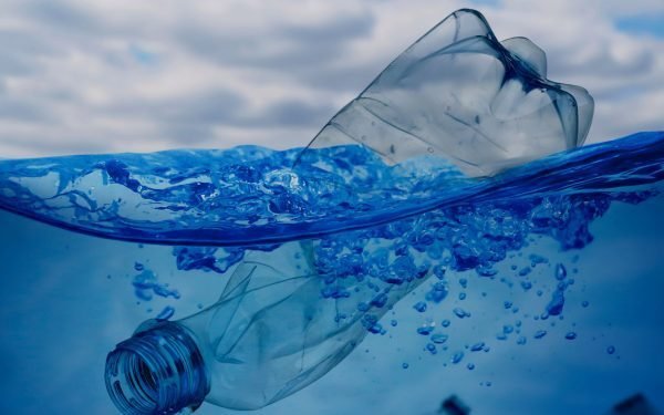 Se descubre que una esponja de huesos de calamar absorbe el 99,8 por ciento de los microplásticos