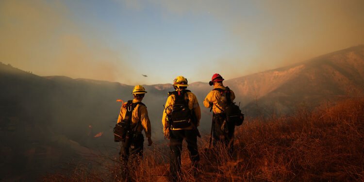 Cómo ayudar a la comunidad de Los Ángeles afectada por incendios forestales