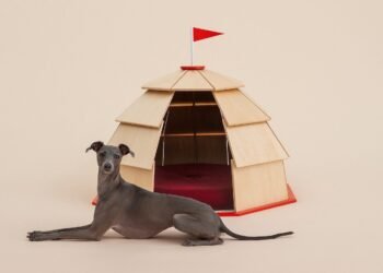 Arquitectura para perros, calendarios de separación, organización + más