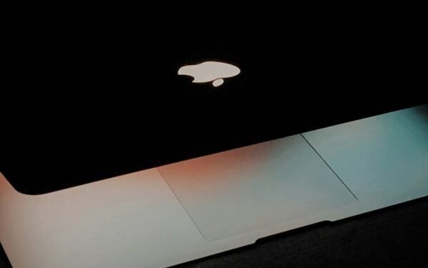 «Las empresas podrían dar un ejemplo radical afirmando que han superado sus cuotas de recursos naturales»