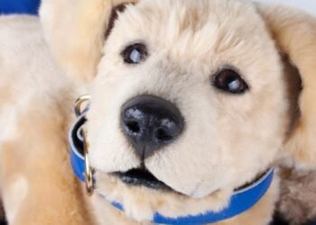 Tombot crea un cachorro robótico «hiperrealista» para ayudar a la salud cognitiva