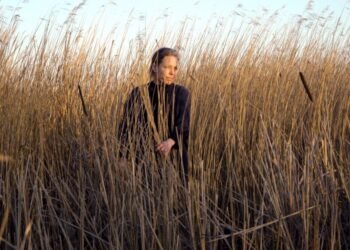 El pastel de Henriette Waal atacea a los climas de Changialh Whiteh "nuevas formas de vida" en humedales