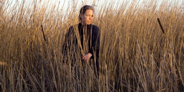 El pastel de Henriette Waal atacea a los climas de Changialh Whiteh "nuevas formas de vida" en humedales