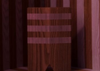 Puerta de chico ancha en YSG para Bankston Architectural