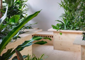 Zeller y Moye incorporan plantas en toda la oficina alemana