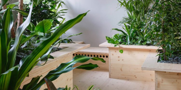 Zeller y Moye incorporan plantas en toda la oficina alemana