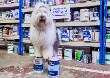 Cómo usar el servicio de redistribución de pintura de Dulux