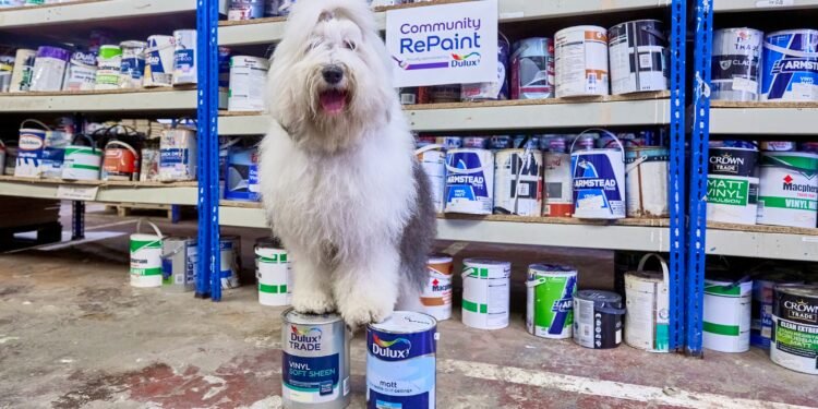 Cómo usar el servicio de redistribución de pintura de Dulux