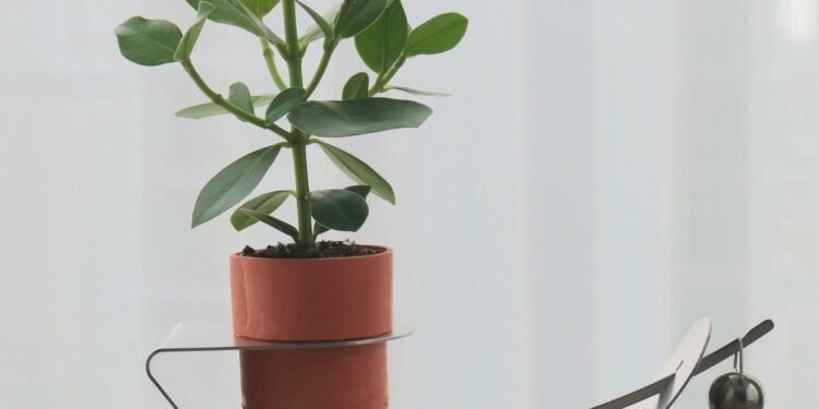 Doris Xu diseña a Plantador inclinado para mostrar «cambio constante» de las plantas de interior