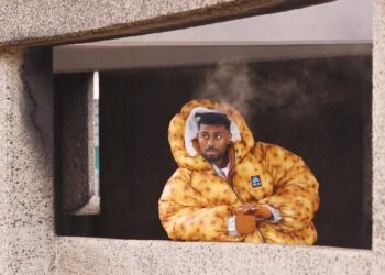 «Otra idea a medias», dice un comentarista