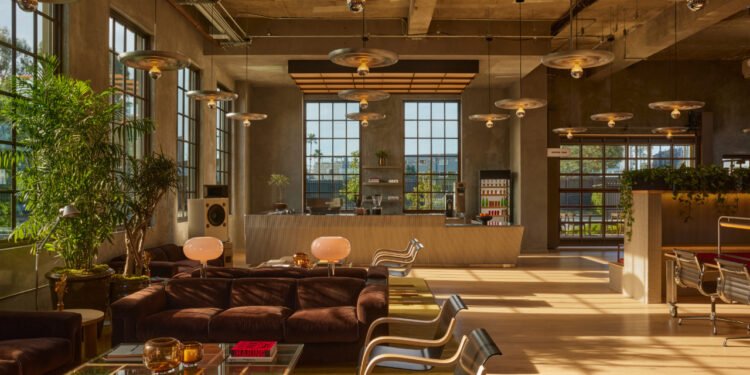 Nathan Warkentin habla de Brown, la vista desde su ventana y más