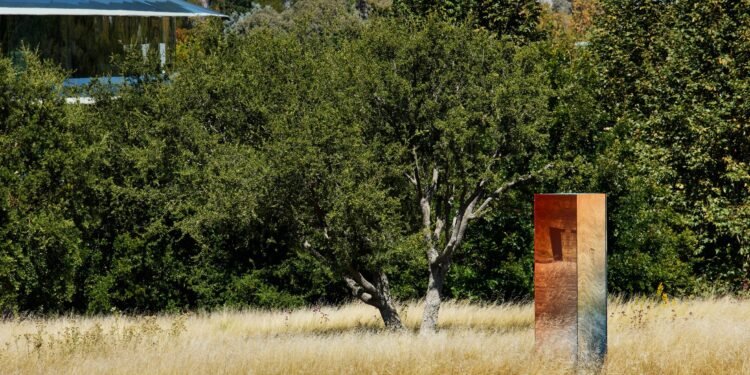 Sabine Marcelis revela el obelisco reflejado en Apple Park