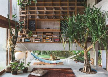 10 casas modernas con árboles vivos creciendo en su interior