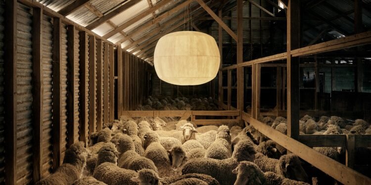 Diez productos ecoconscientes elaborados con materiales pioneros