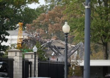 «Trump no está siendo necesariamente patológico, simplemente está siendo estadounidense»