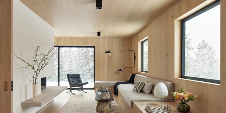 Las 10 principales publicaciones sobre leche desnatada de 2025