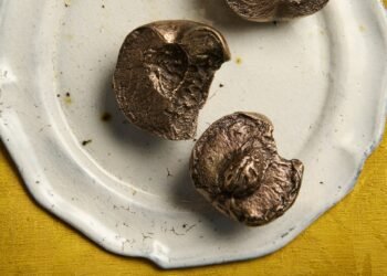 Luca Guadagnino evoca Llámame por tu nombre con pisapapeles color melocotón