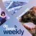 El segundo episodio del podcast Dezeen Weekly ya está disponible