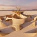 James Gwertzman basa el templo de Burning Man en una rara flor del desierto