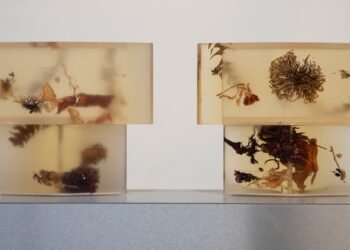 Los diseños de iluminación favoritos de Dezeen de febrero